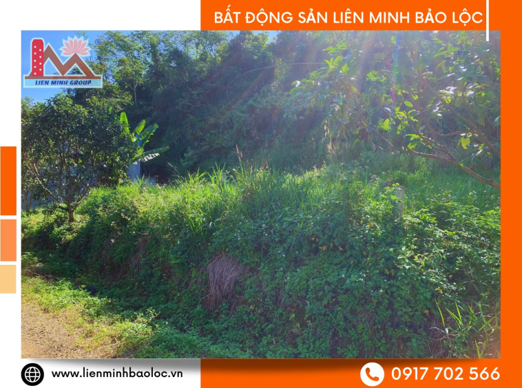 Bán đất thổ cư Lộc Tân Bảo Lâm