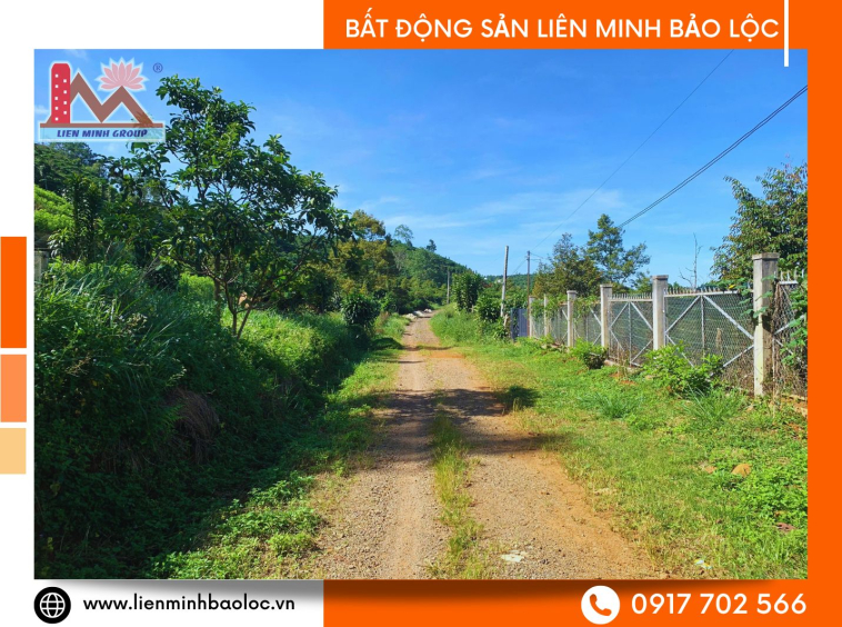 Đất đất Bảo Lâm giá rẻ
