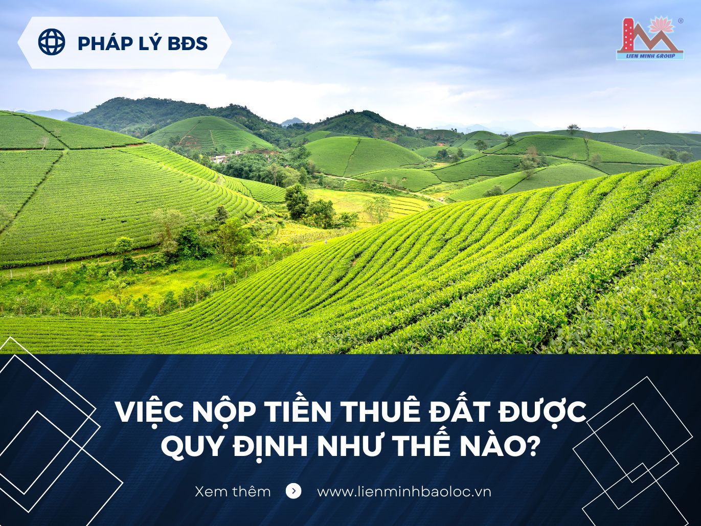 Việc nộp tiền thuê đất được quy định như thế nào?
