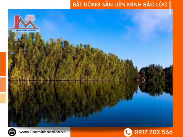 BLD698-Đất Hồ Cánh Bướm Lộc Thắng Bảo Lâm
