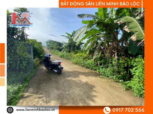 BLD756-Đất Sào Trung Tâm BLao Bảo Lộc