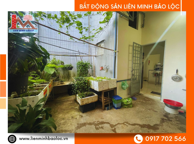 Nhà vườn ngay trung tâm Bảo Lộc thích hợp kinh doanh
