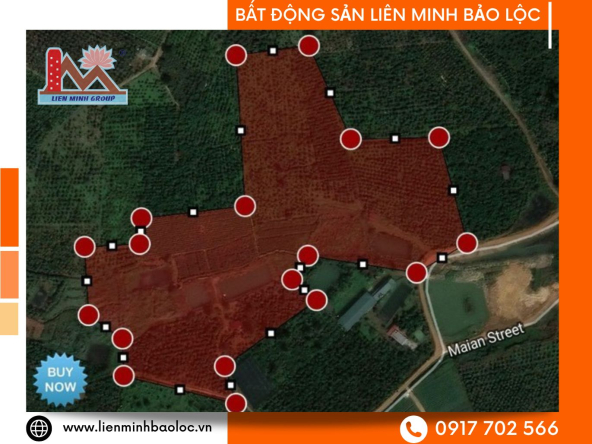 BLD501-Đất Đập Mai Thành Lộc Tiến Bảo Lộc