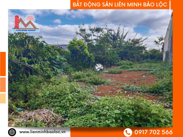 BLD616-Đất Đinh Công Tráng Lộc Châu Bảo Lộc