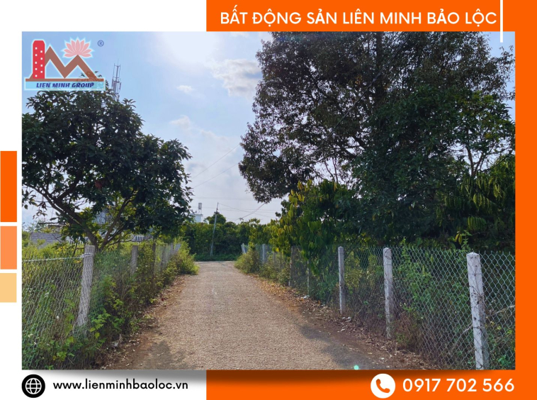 Đất thổ cư trung tâm Bảo Lộc