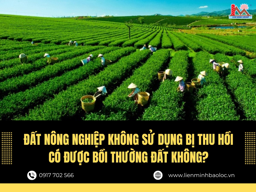 Đất nông nghiệp không sử dụng bị thu hồi có được bồi thường đất không?