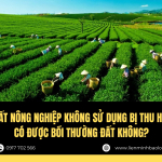 Đất nông nghiệp không sử dụng bị thu hồi có được bồi thường đất không?