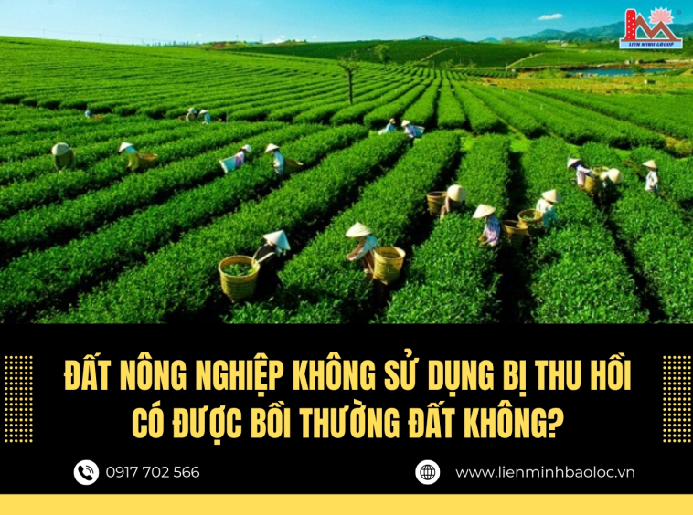 Đất nông nghiệp không sử dụng bị thu hồi có được bồi thường đất không?