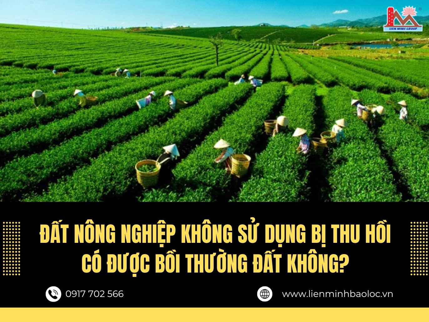 Đất nông nghiệp không sử dụng bị thu hồi có được bồi thường đất không?