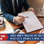 Mẫu hiện trạng sử dụng đất của tỉnh là mẫu nào?